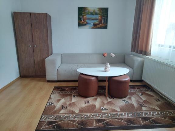 Djolevi Guesthouse دوبرينيشت المظهر الخارجي الصورة